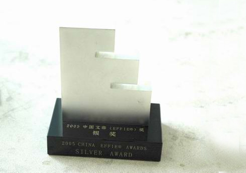 2005年中国艾菲奖银奖
