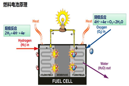 第45个世界环境日，你拿什么来献礼？